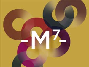 7 musées – Ville de Lyon
